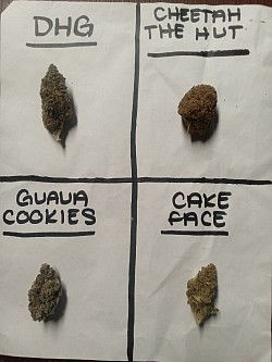 Some flower strains